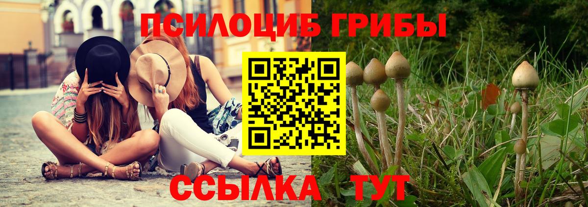 наркота  Псилоцибиновые грибы Cubensis  Вход с VPN  Анапа 